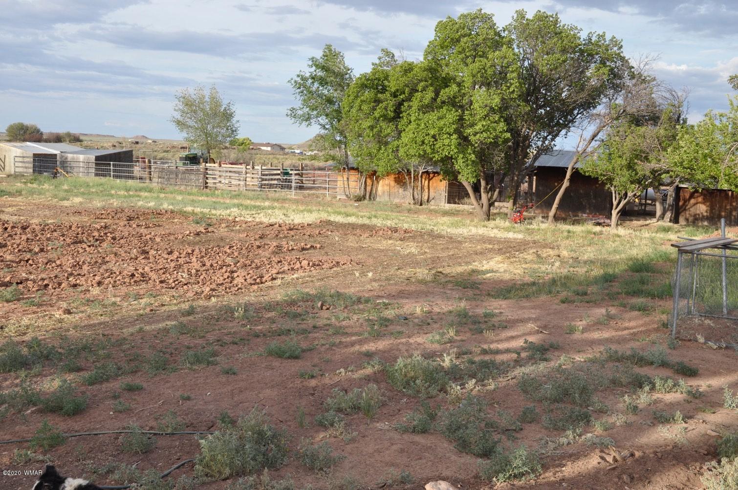 6401 Country Road Woodruff, AZ 85942 - Photo 23 of 32