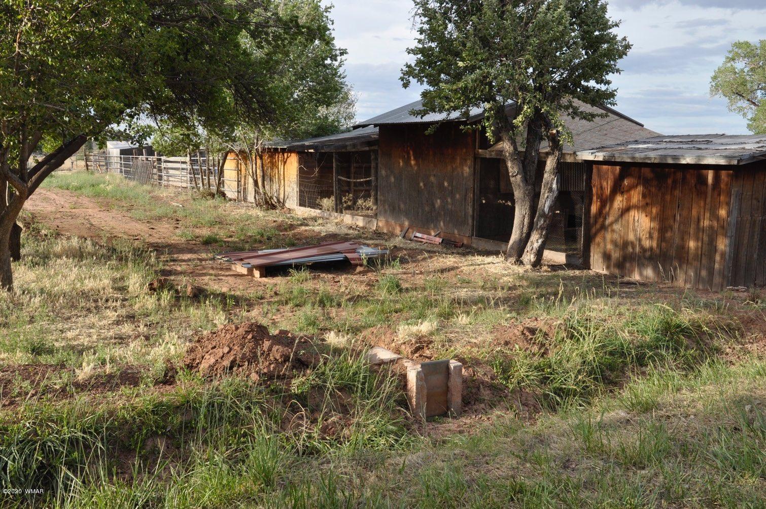 6401 Country Road Woodruff, AZ 85942 - Photo 24 of 32