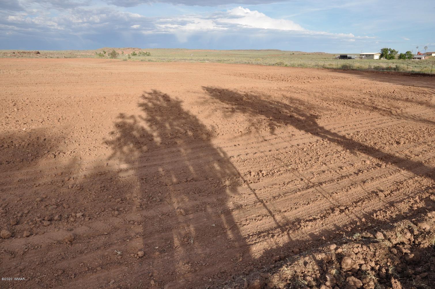 6401 Country Road Woodruff, AZ 85942 - Photo 29 of 32