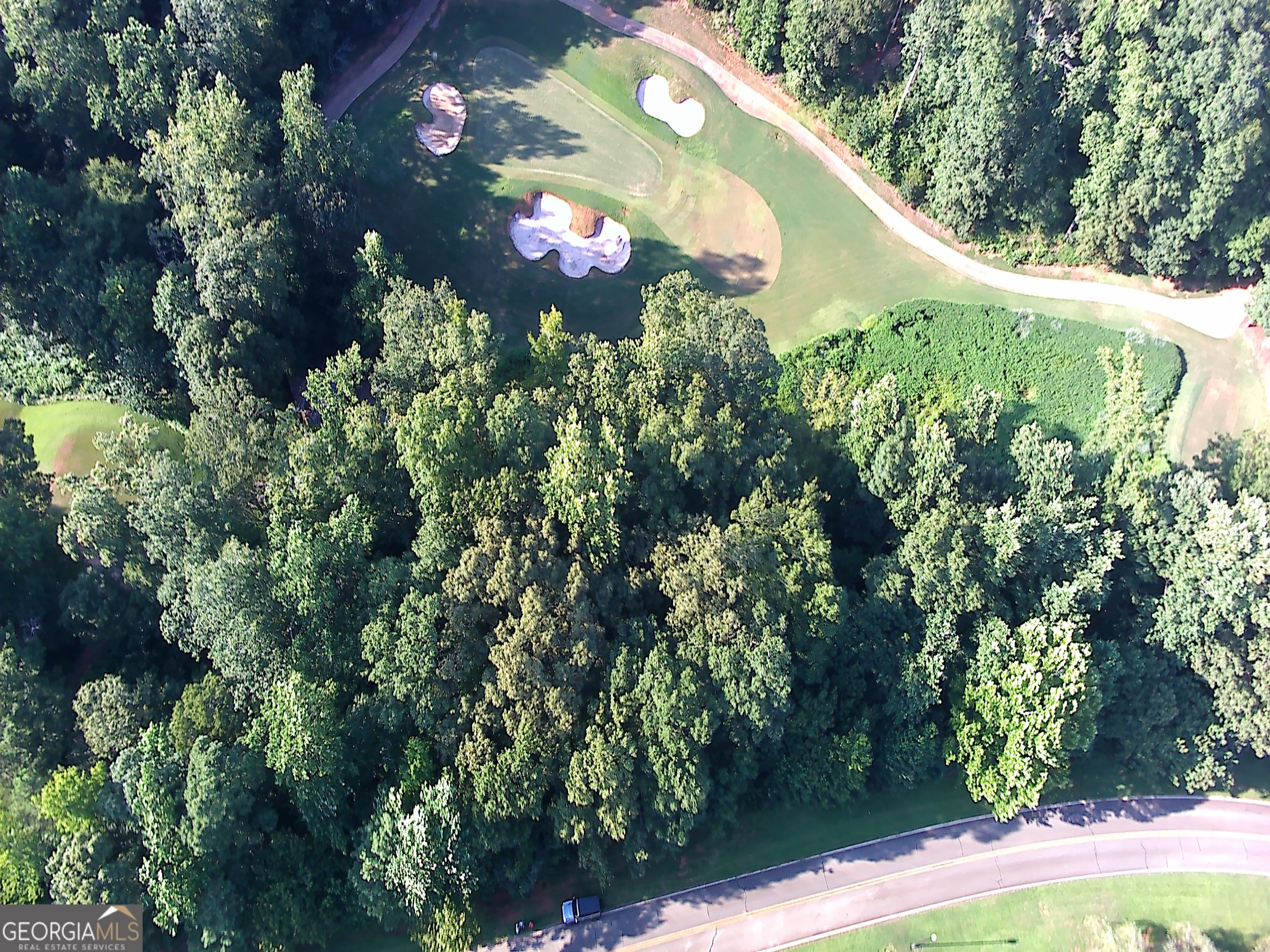 a view of a garden with plants