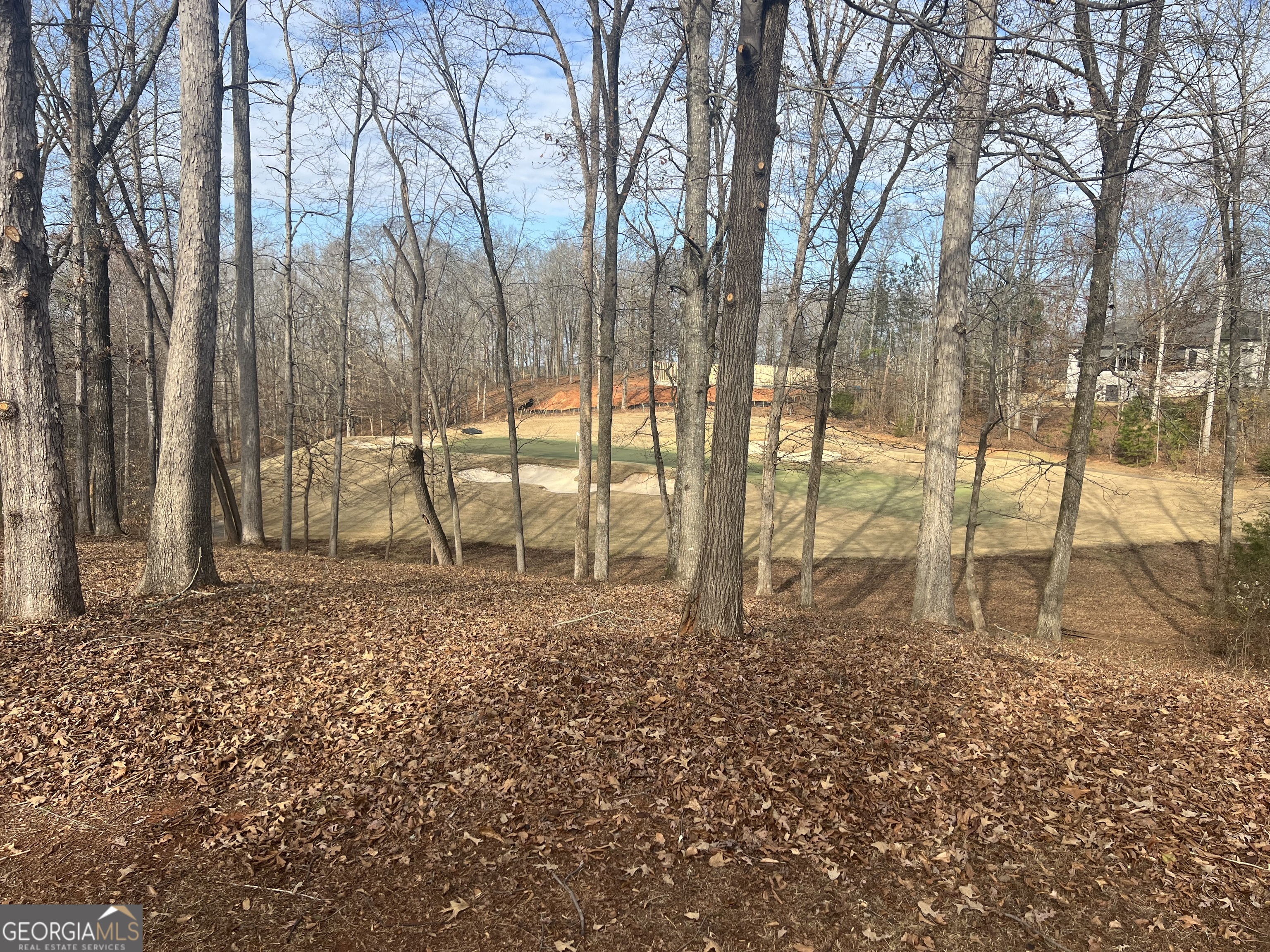 202 Equestrian Drive Forsyth, GA 31029 - Photo 4 of 5 a view of a yard with a trees