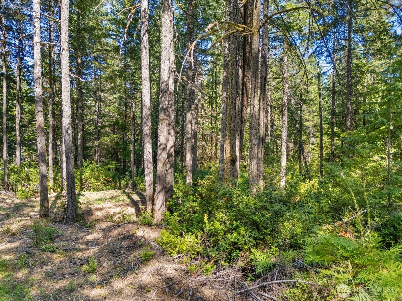 -tr3 East Mason Lake Road Grapeview, WA 98546 - Photo 8 of 11 Gallery Image 8