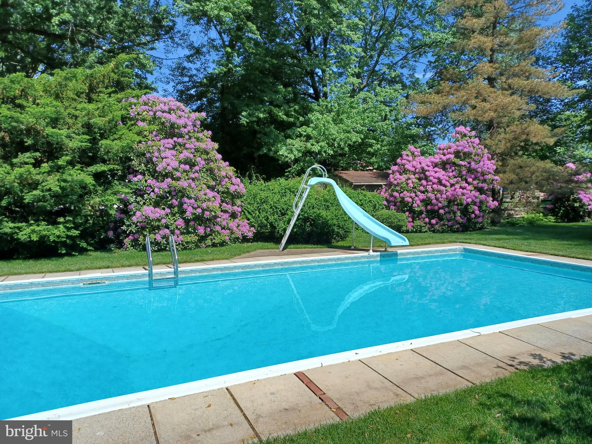 30 Norwood Road Warminster, PA 18974 - Photo 15 of 28 Inground Pool