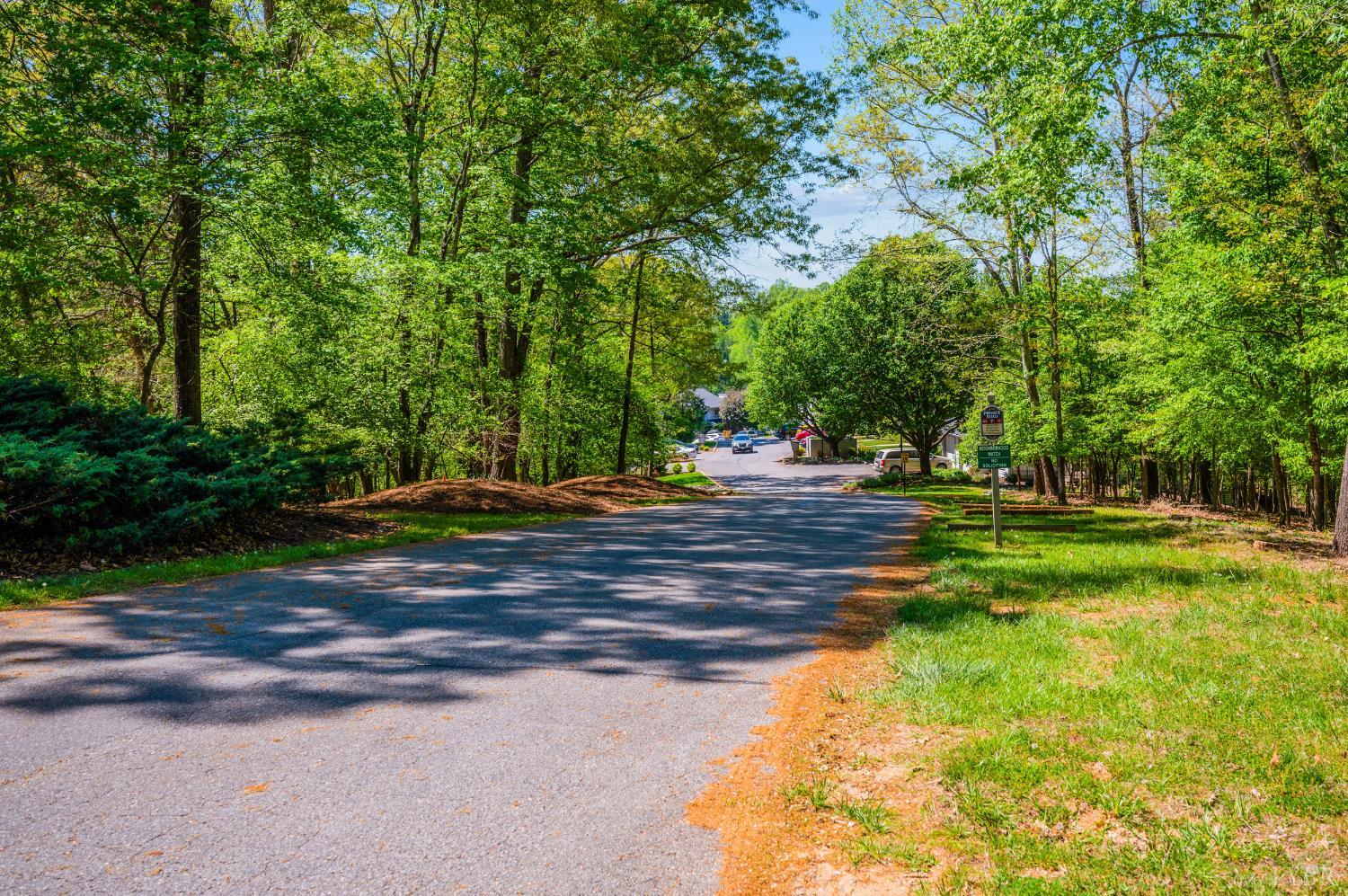 424 Oak Point Road Forest, VA 24551 - Photo 41 of 52 Gallery Image 41