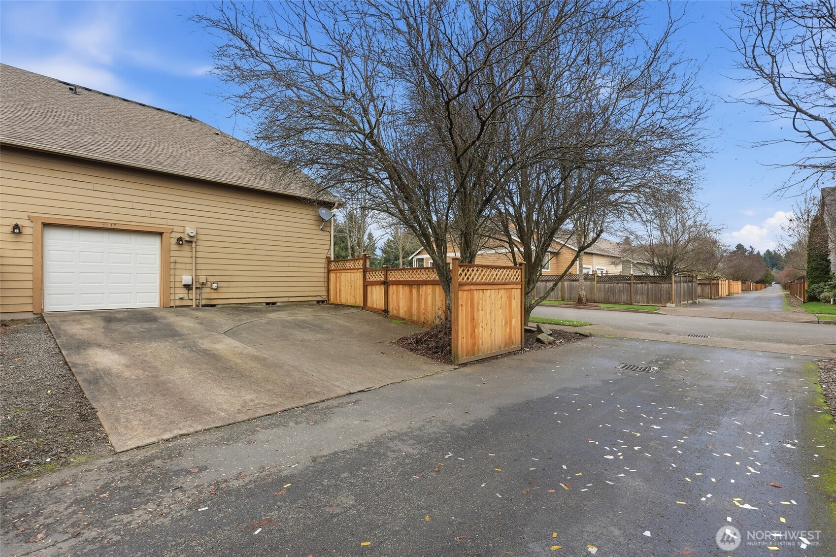 5107 66th Avenue Southeast Lacey, WA 98513 - Photo 25 of 27 a view of large tree in front of a house