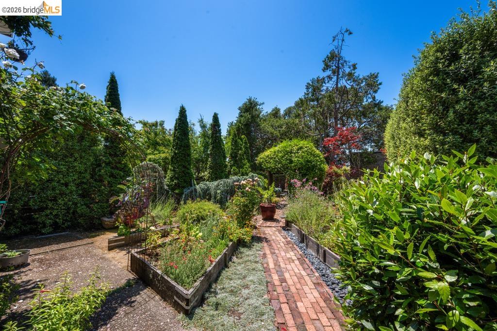 1408 Arch Street Berkeley, CA 94708 - Photo 13 of 17