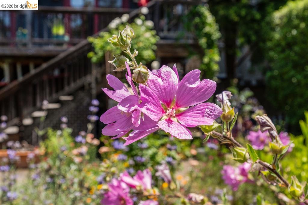 1408 Arch Street Berkeley, CA 94708 - Photo 15 of 17