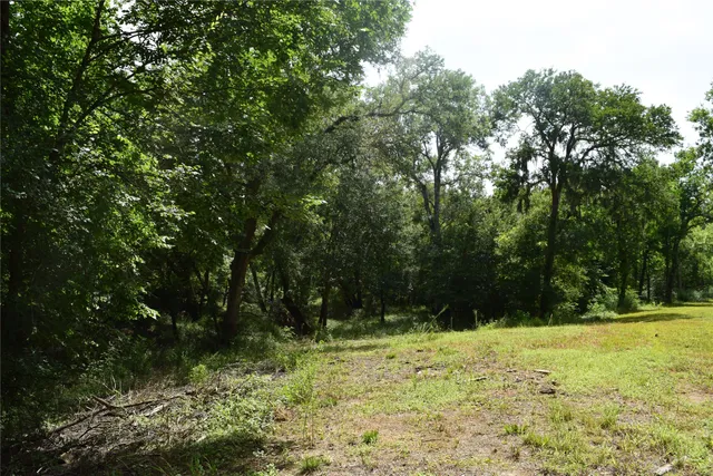 $150,000 | 0 County Road 121, Rosharon, TX 77583