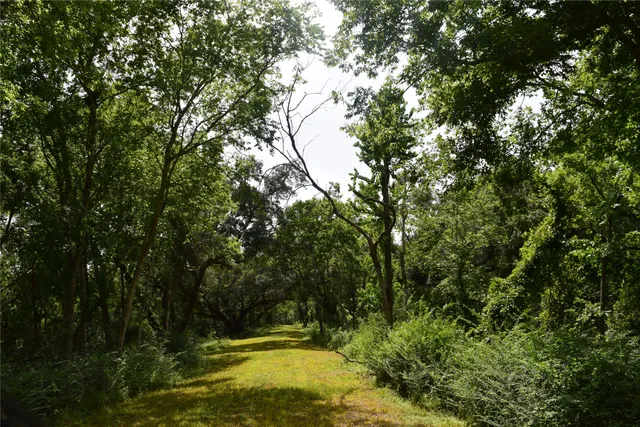 $150,000 | 0 County Road 121, Rosharon, TX 77583