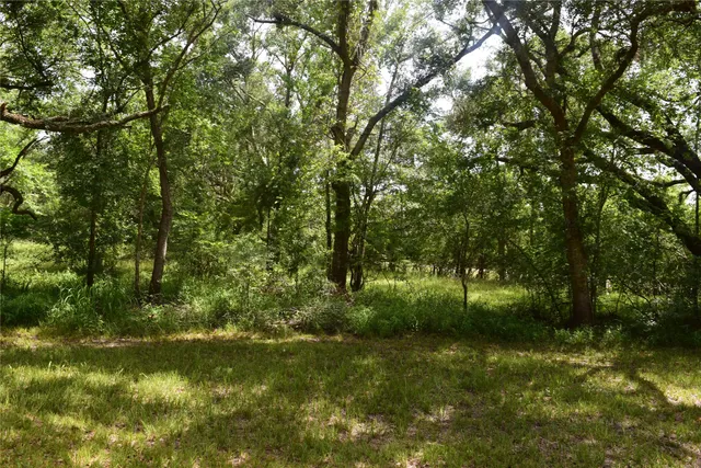 $150,000 | 0 County Road 121, Rosharon, TX 77583