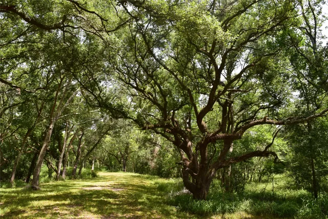 $150,000 | 0 County Road 121, Rosharon, TX 77583