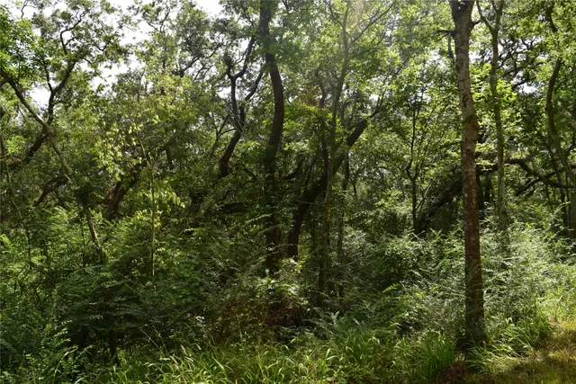 $150,000 | 0 County Road 121, Rosharon, TX 77583