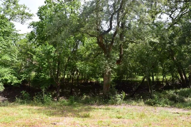 $150,000 | 0 County Road 121, Rosharon, TX 77583