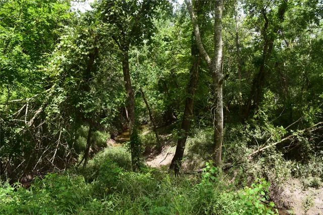 $150,000 | 0 County Road 121, Rosharon, TX 77583