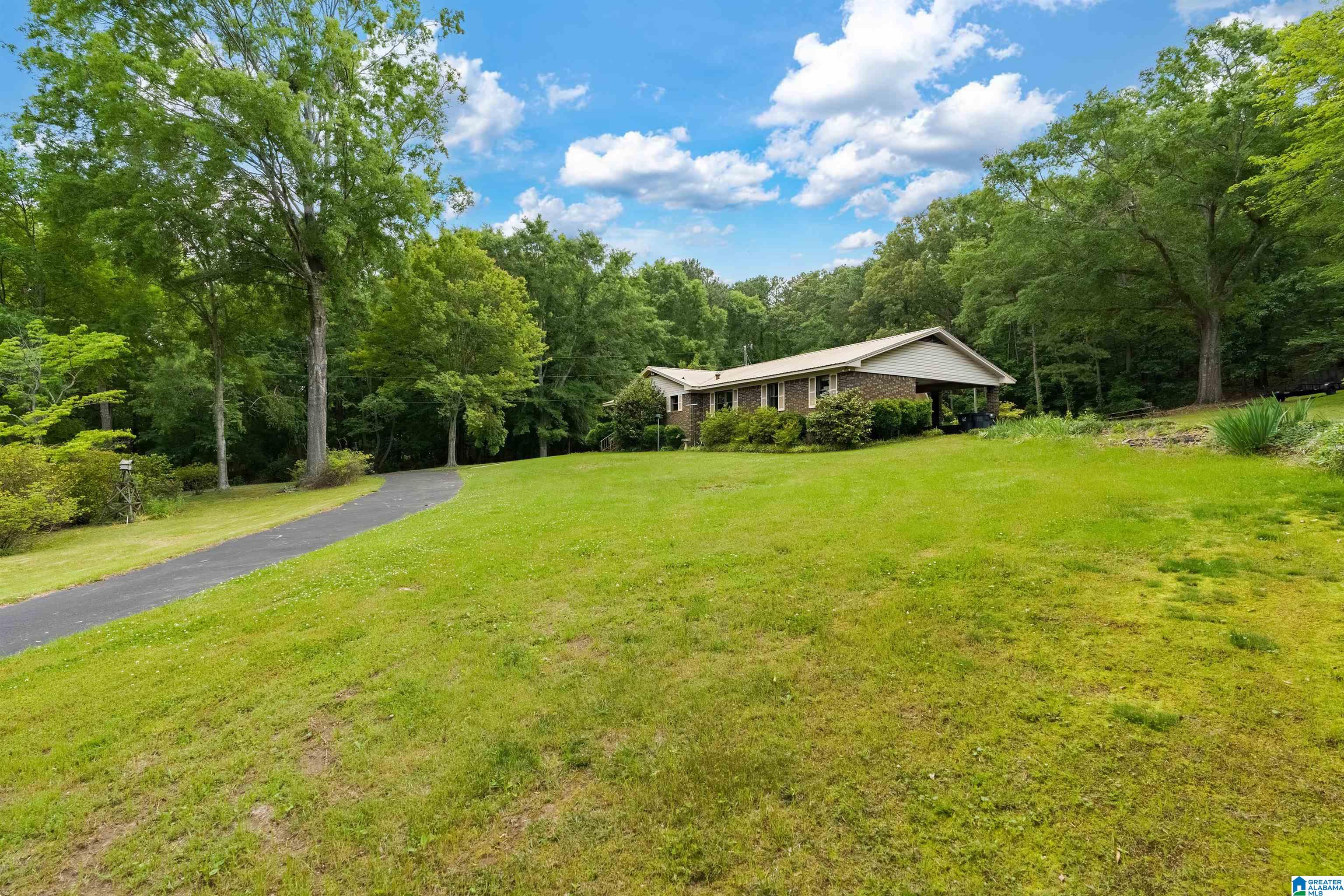 1505 Rabbit Branch Road Cropwell, AL 35054 - Photo 44 of 44
