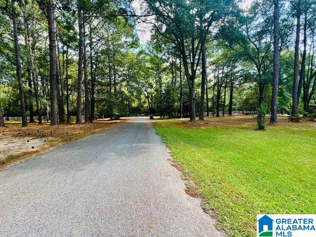 121 Carleton Point Lane Wilsonville, AL 35186 - Photo 58 of 84