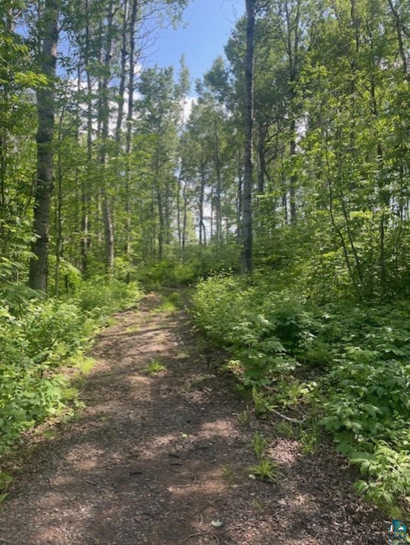 5186 Hermantown Road Hermantown, MN 55810 - Photo 5 of 7