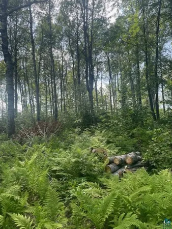 $75,500 | 5186 Hermantown Road, Hermantown, MN 55810