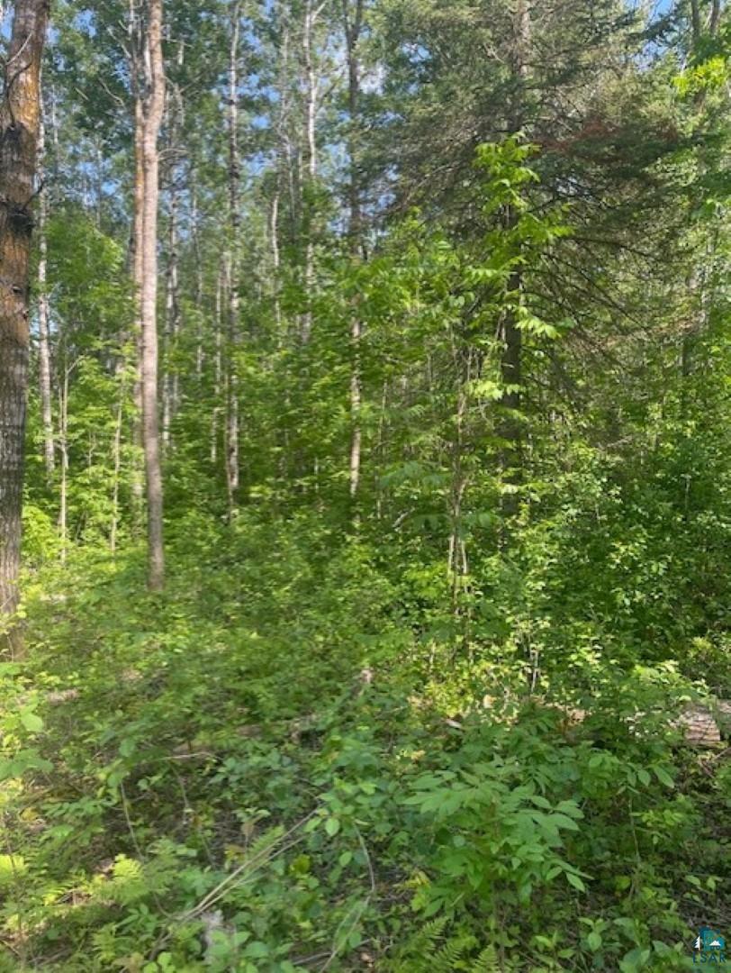 5186 Hermantown Road Hermantown, MN 55810 - Photo 7 of 7