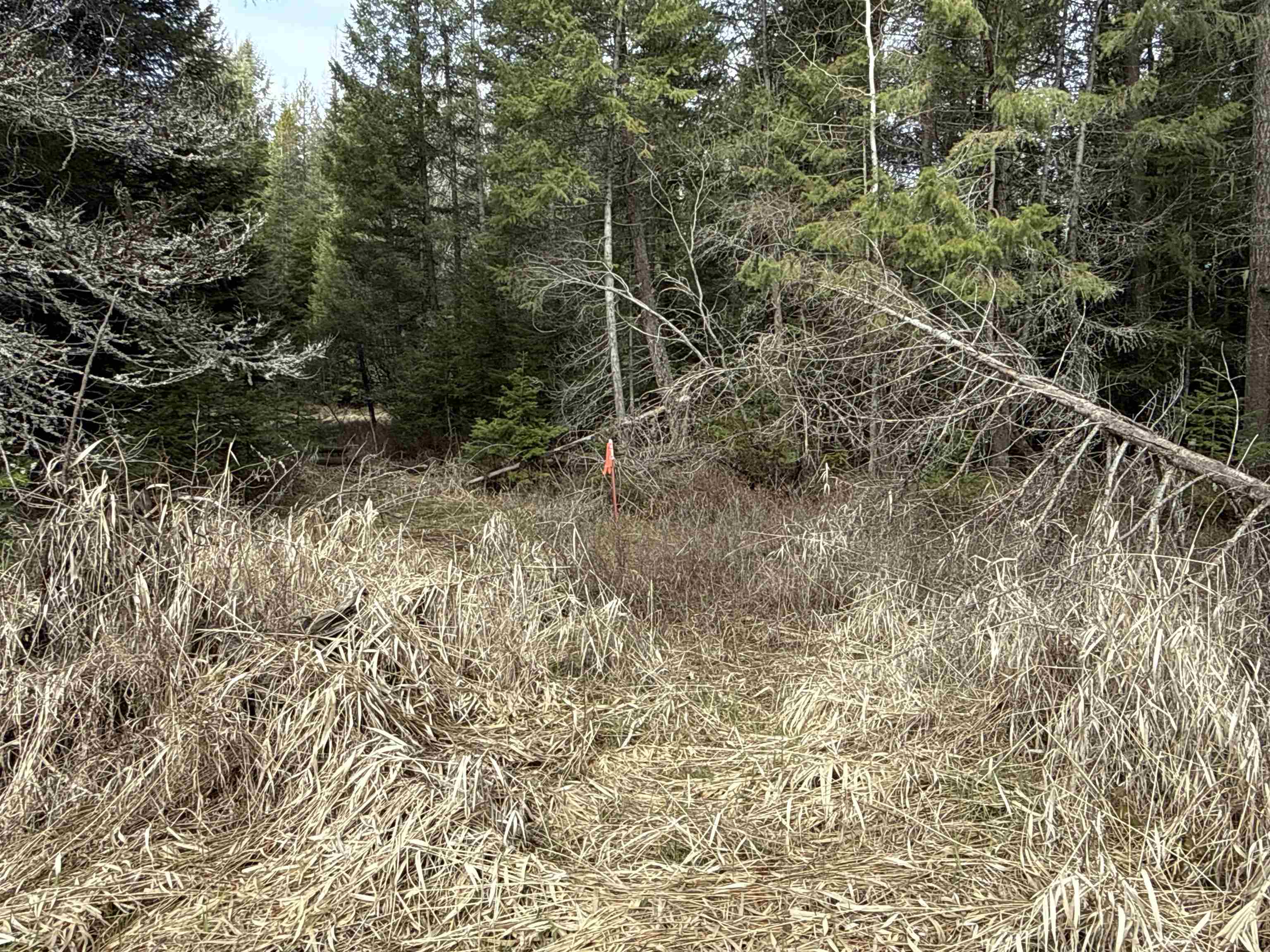 Nka Eagle Rdg Way Springdale, WA 99173 - Photo 11 of 24