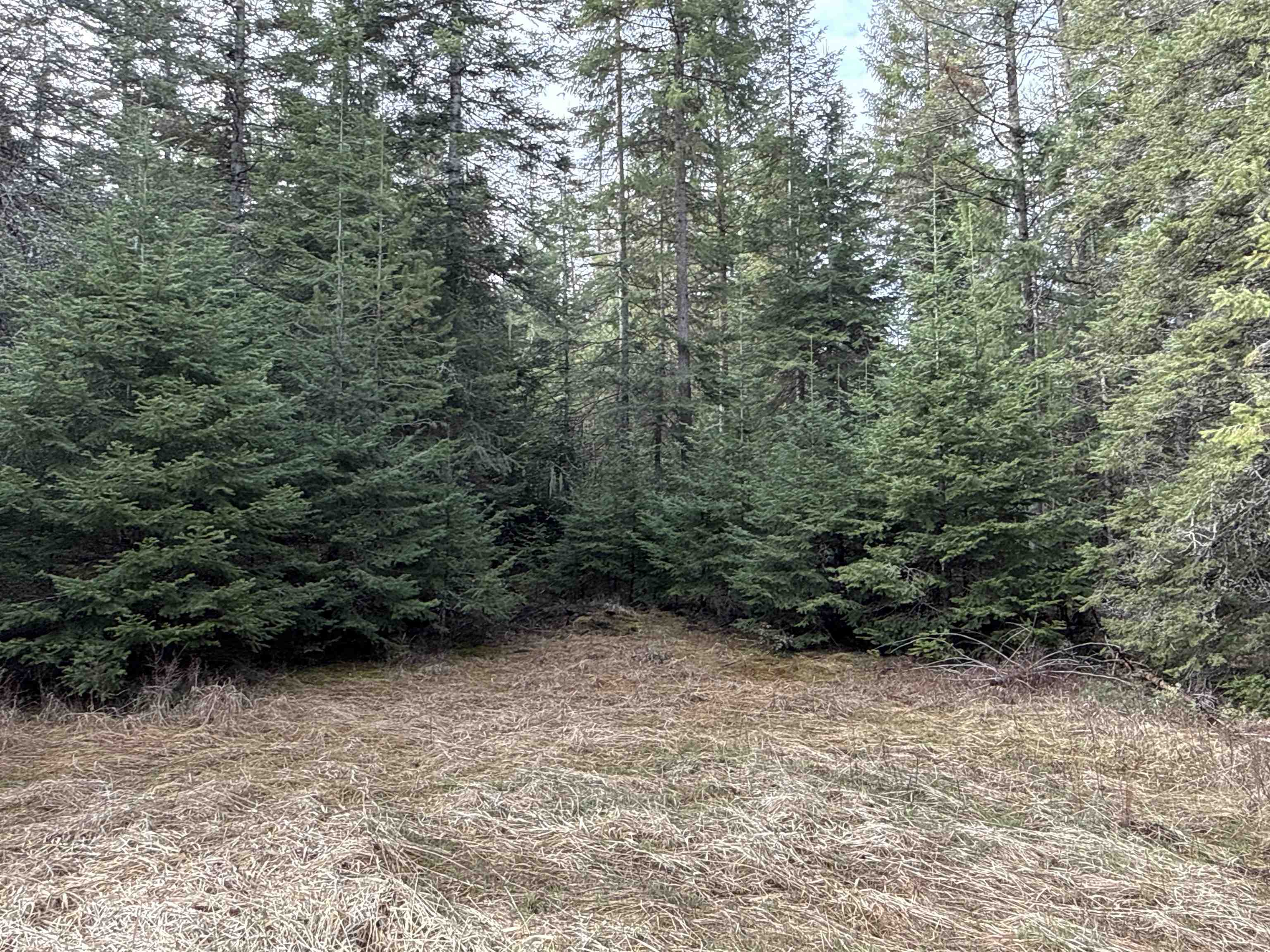 Nka Eagle Rdg Way Springdale, WA 99173 - Photo 13 of 24