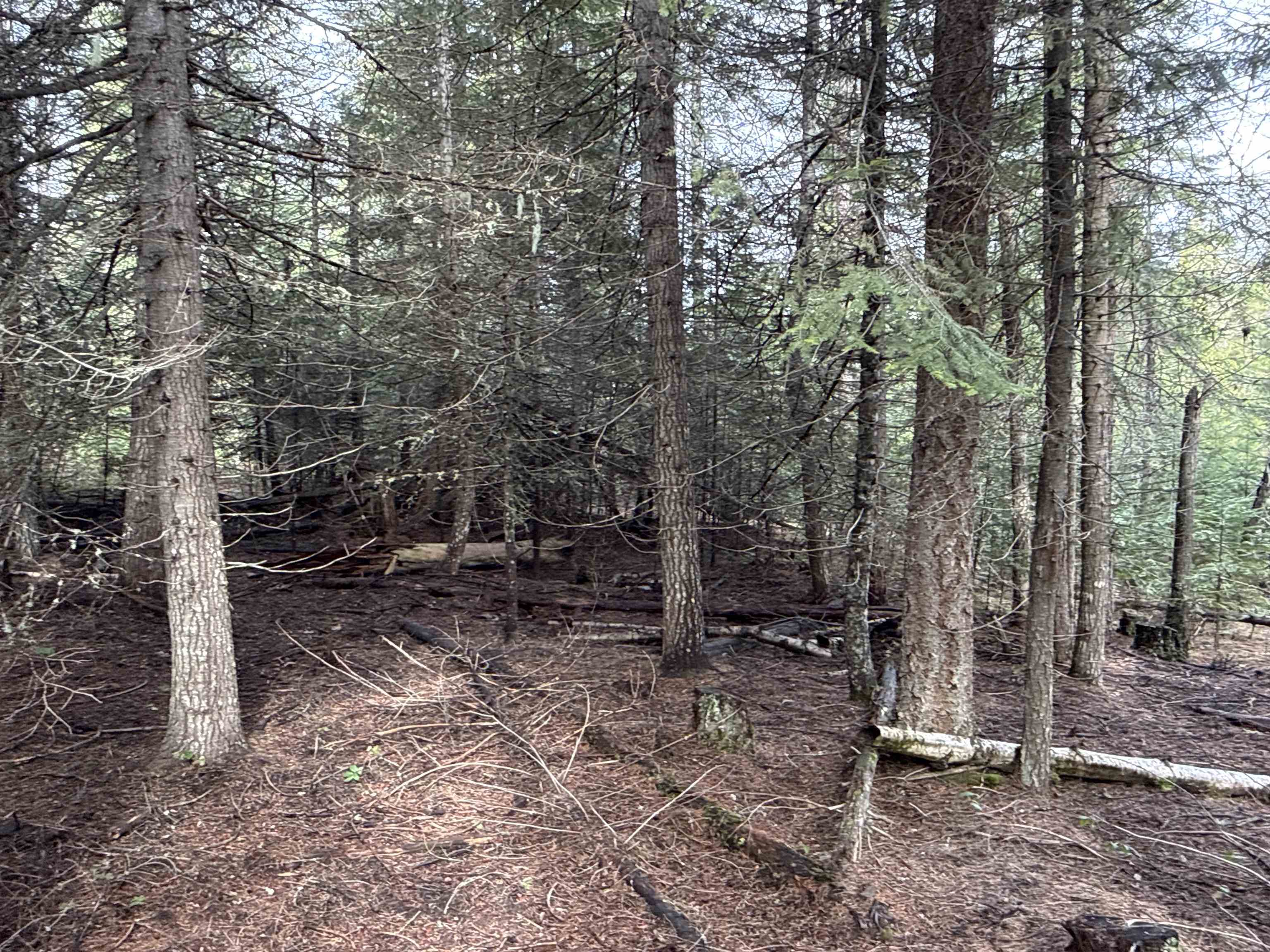 Nka Eagle Rdg Way Springdale, WA 99173 - Photo 15 of 24