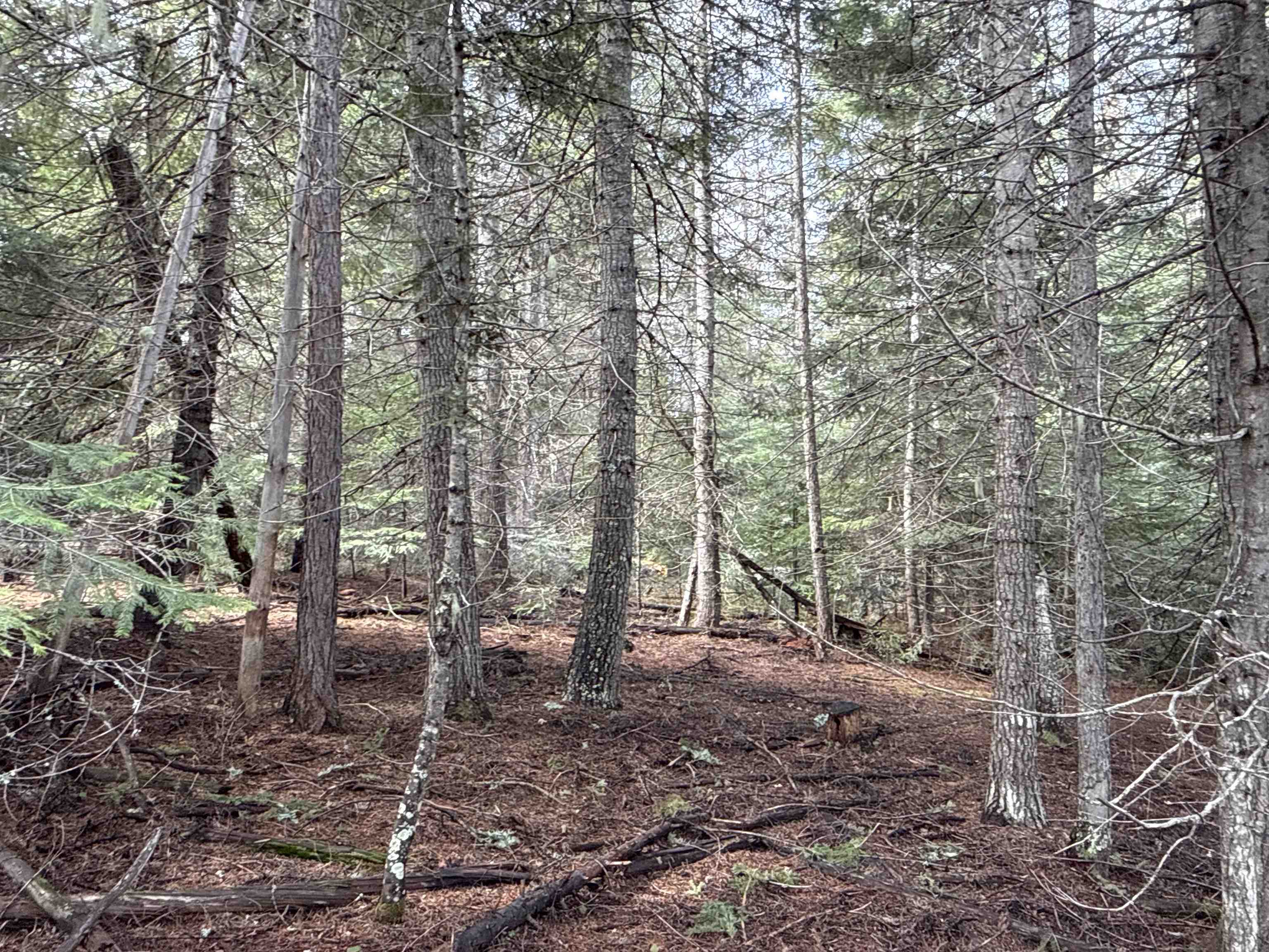 Nka Eagle Rdg Way Springdale, WA 99173 - Photo 16 of 24