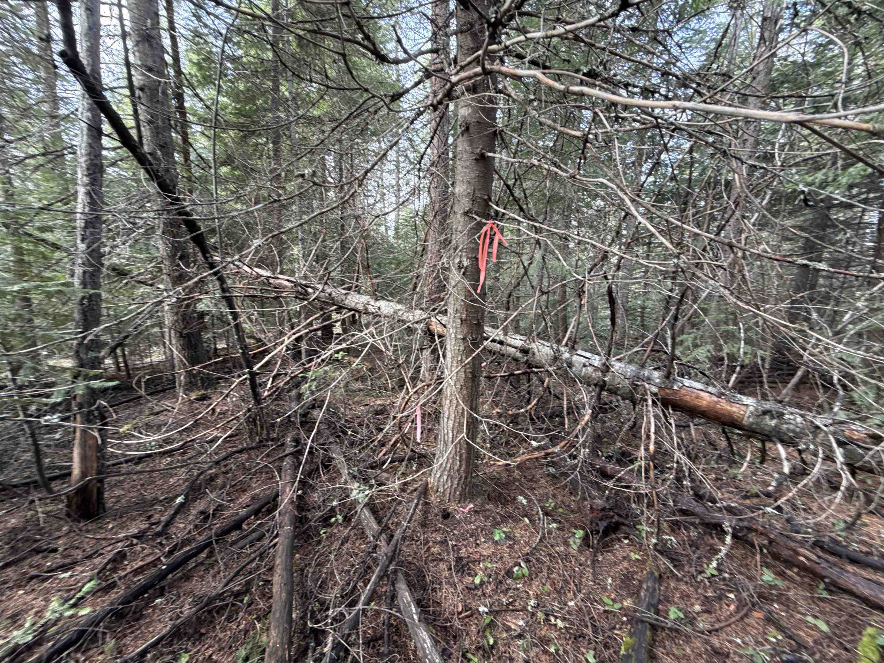 Nka Eagle Rdg Way Springdale, WA 99173 - Photo 17 of 24