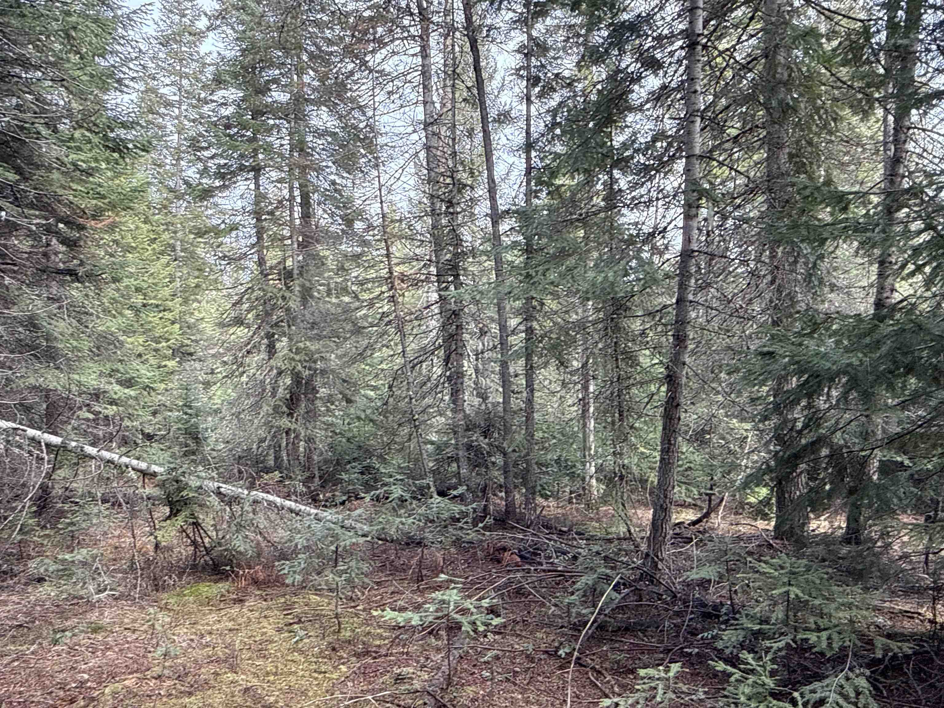 Nka Eagle Rdg Way Springdale, WA 99173 - Photo 18 of 24