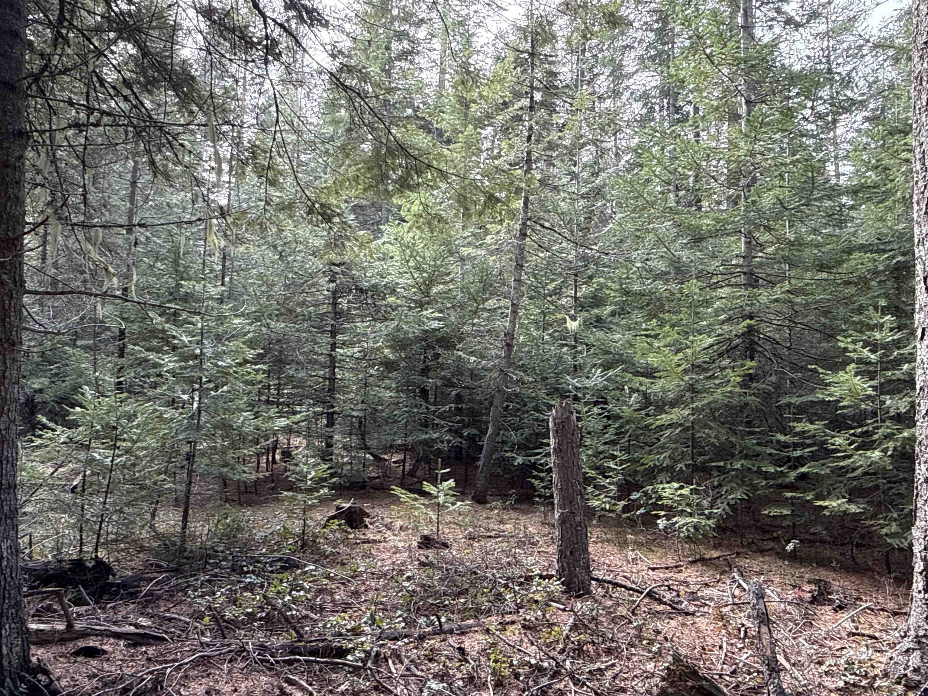 Nka Eagle Rdg Way Springdale, WA 99173 - Photo 19 of 24