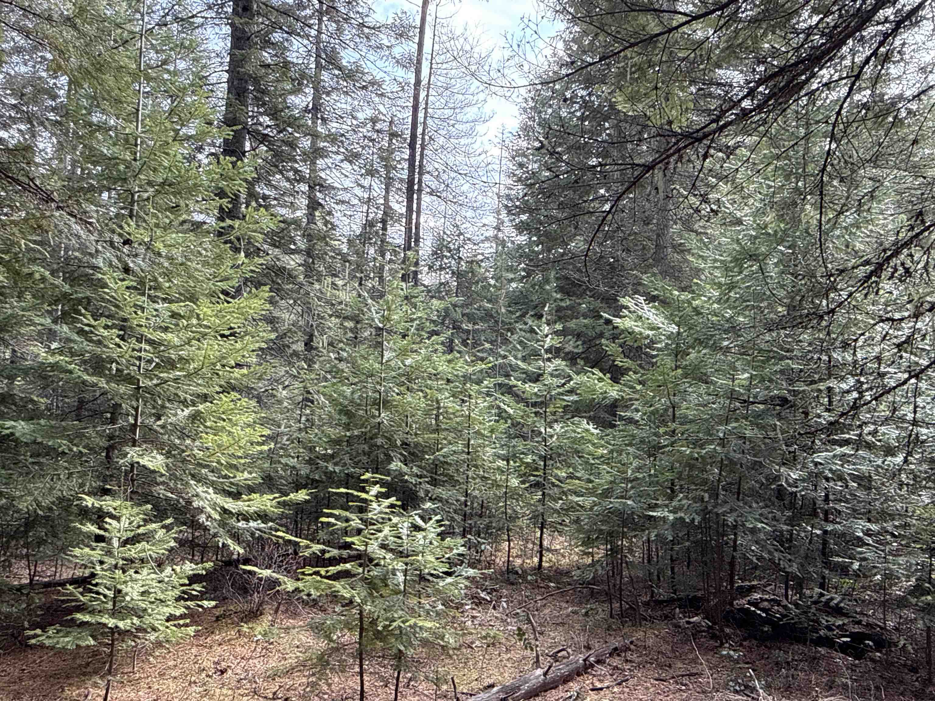 Nka Eagle Rdg Way Springdale, WA 99173 - Photo 20 of 24