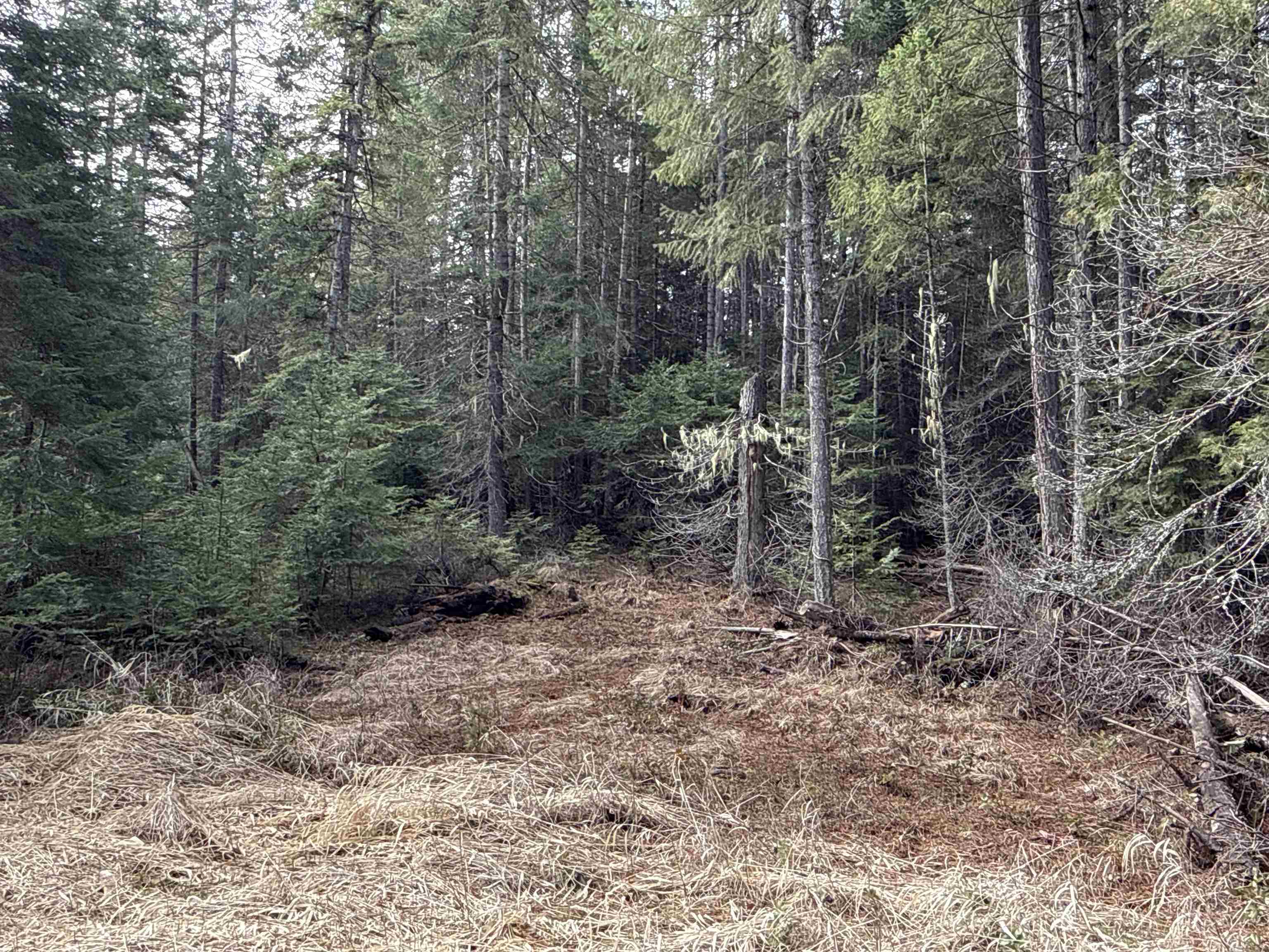 Nka Eagle Rdg Way Springdale, WA 99173 - Photo 22 of 24