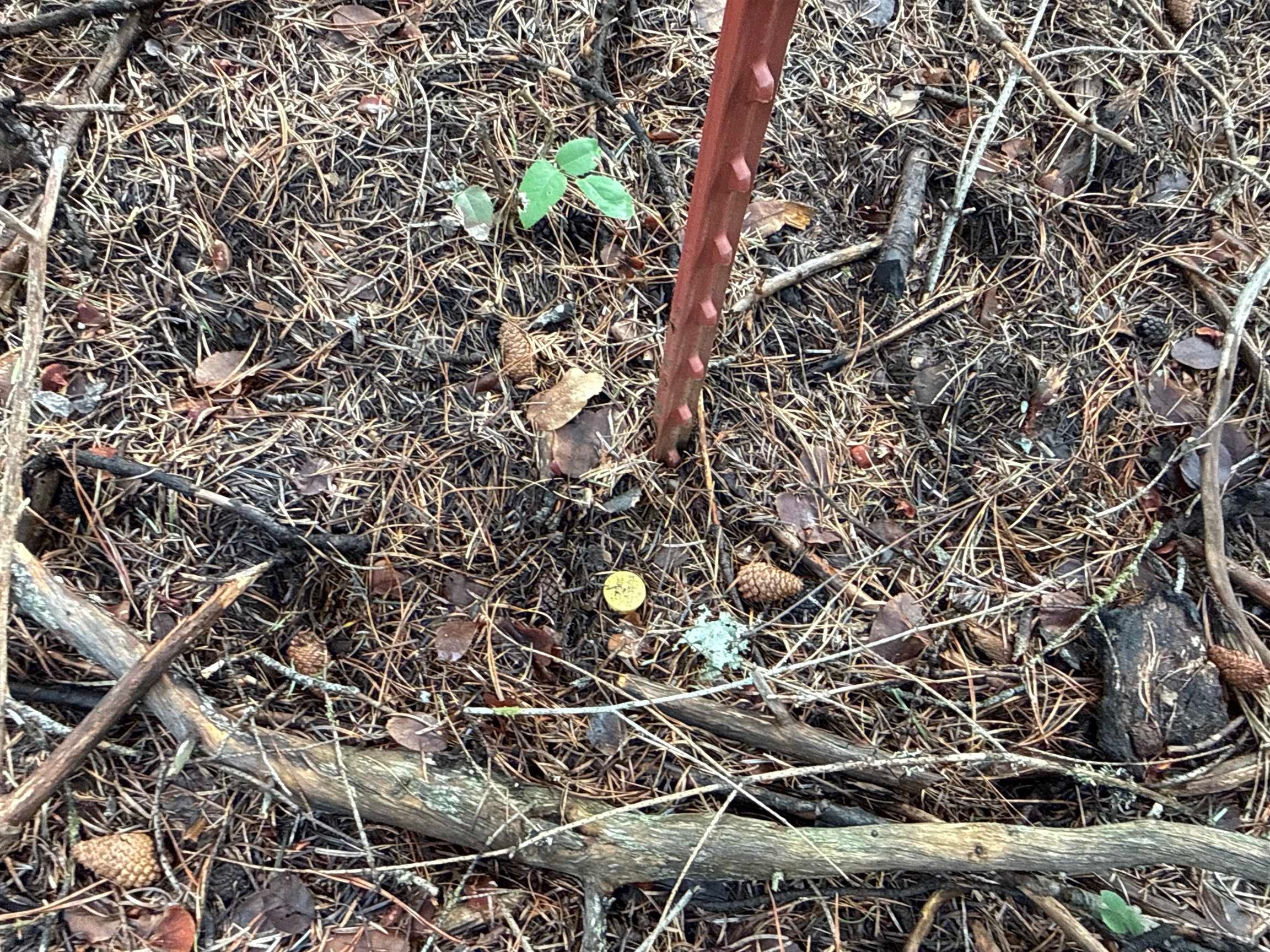 Nka Eagle Rdg Way Springdale, WA 99173 - Photo 3 of 24