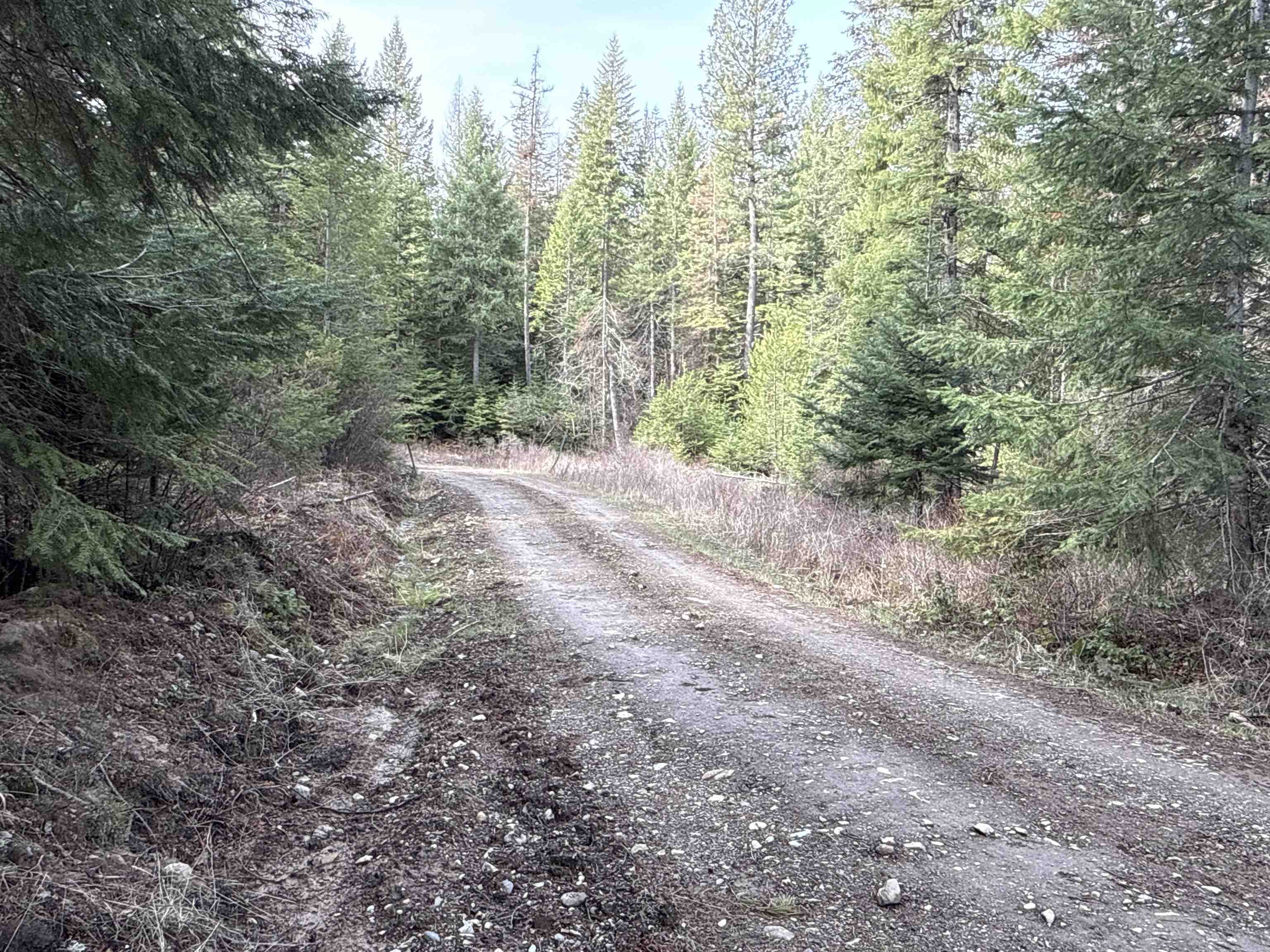 Nka Eagle Rdg Way Springdale, WA 99173 - Photo 4 of 24