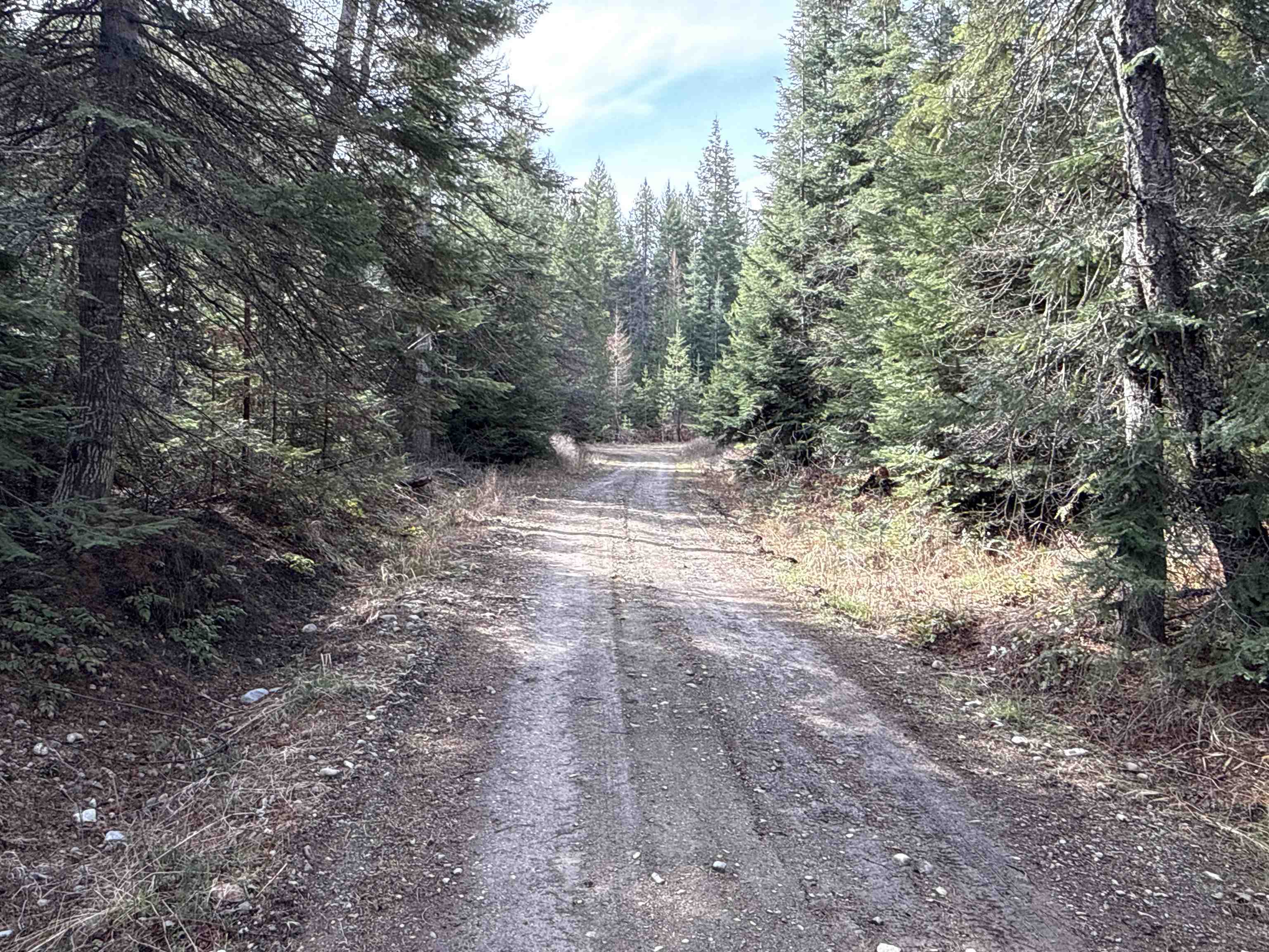 Nka Eagle Rdg Way Springdale, WA 99173 - Photo 5 of 24