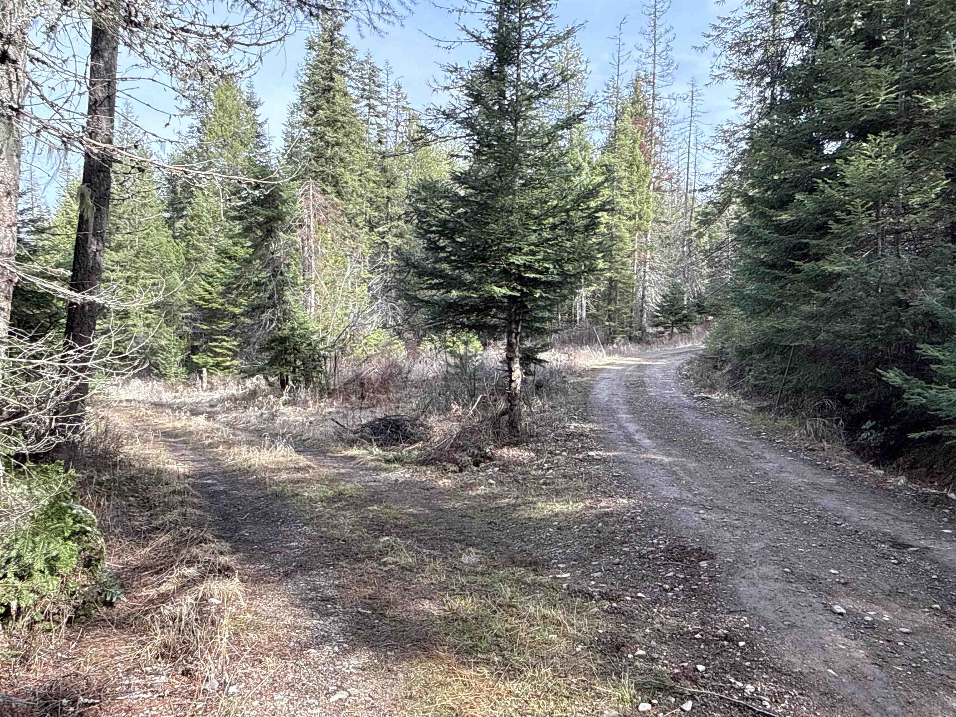 Nka Eagle Rdg Way Springdale, WA 99173 - Photo 6 of 24