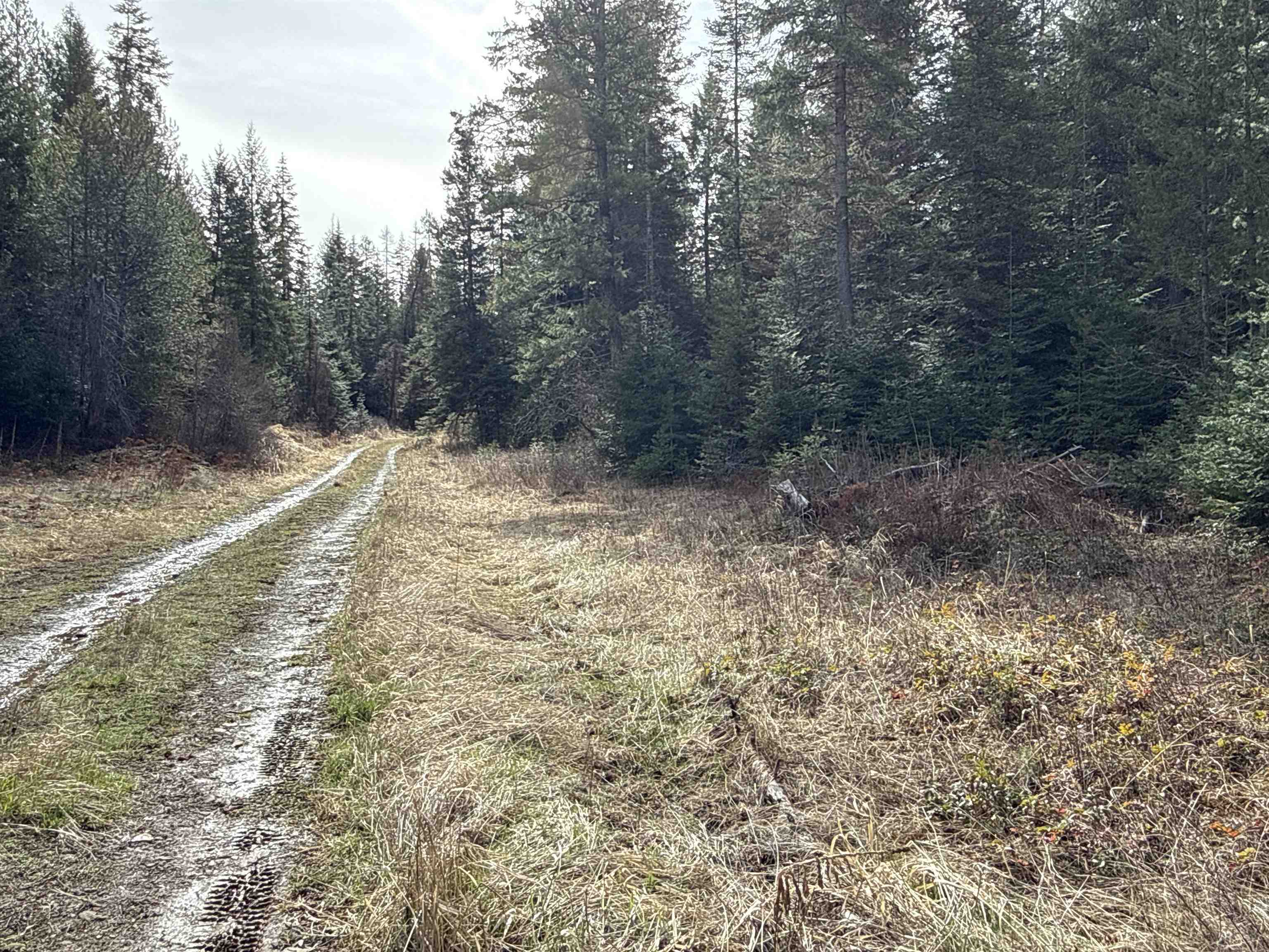 Nka Eagle Rdg Way Springdale, WA 99173 - Photo 7 of 24