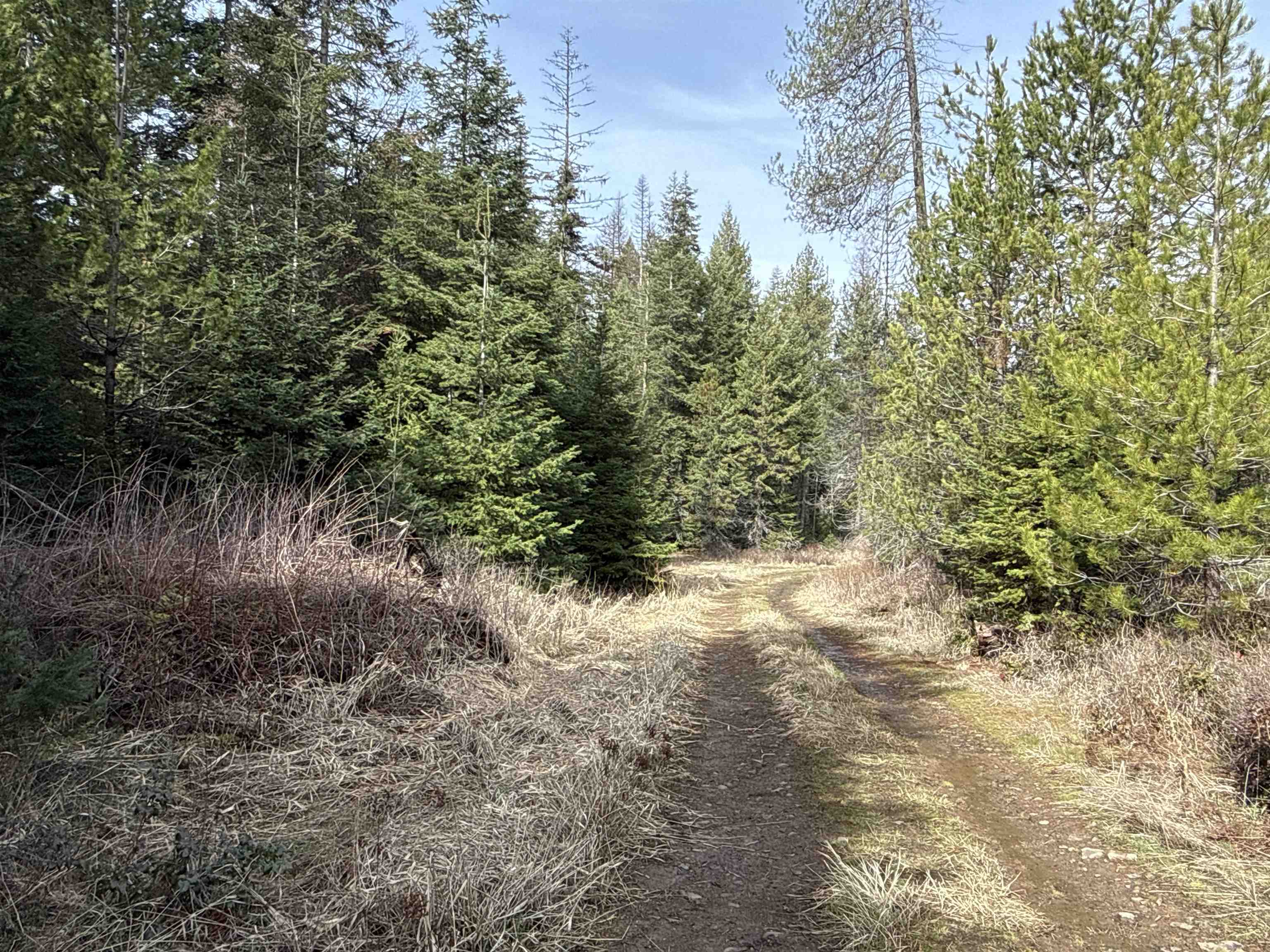 Nka Eagle Rdg Way Springdale, WA 99173 - Photo 8 of 24