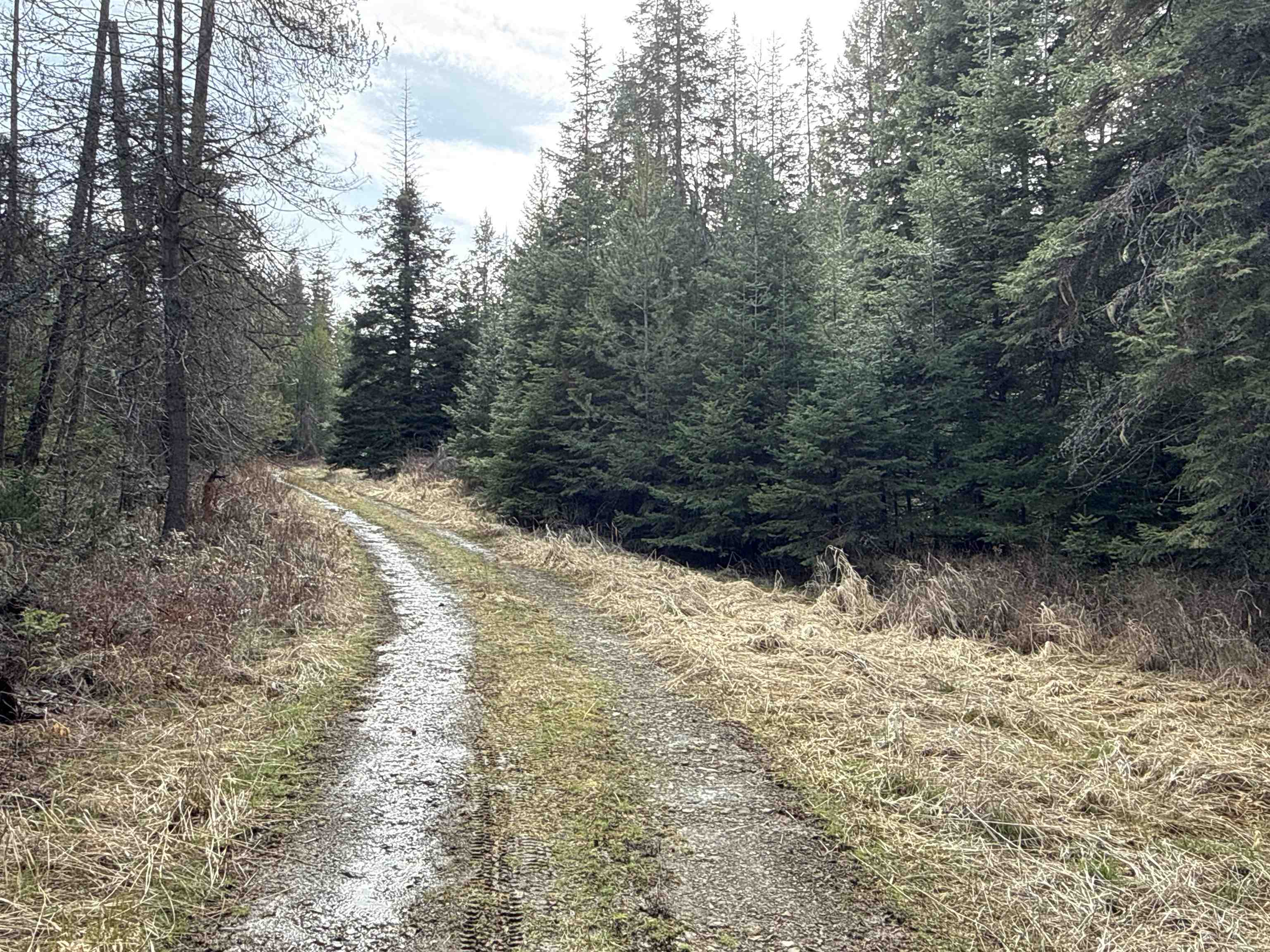 Nka Eagle Rdg Way Springdale, WA 99173 - Photo 9 of 24