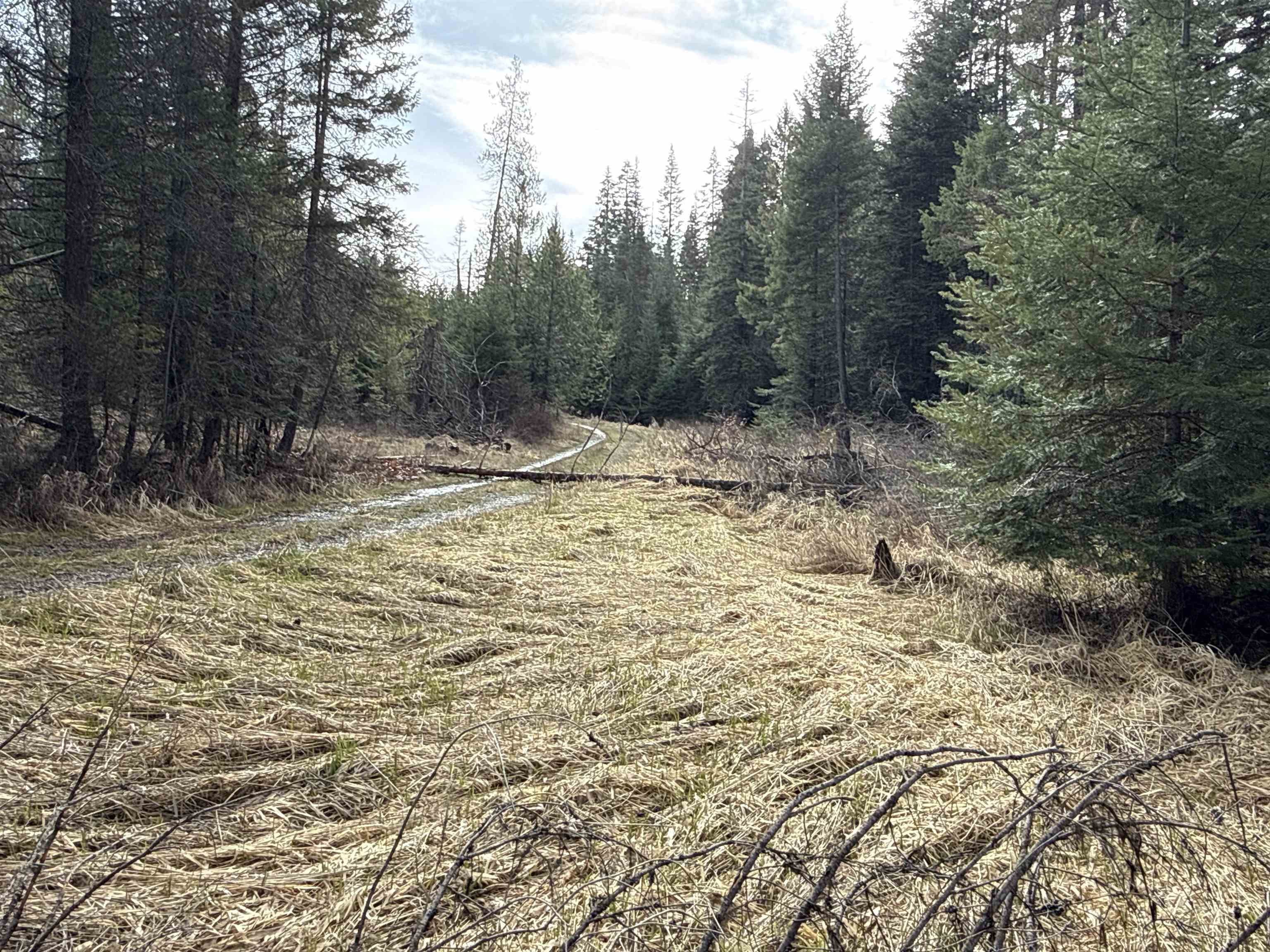 Nka Eagle Rdg Way Springdale, WA 99173 - Photo 10 of 24