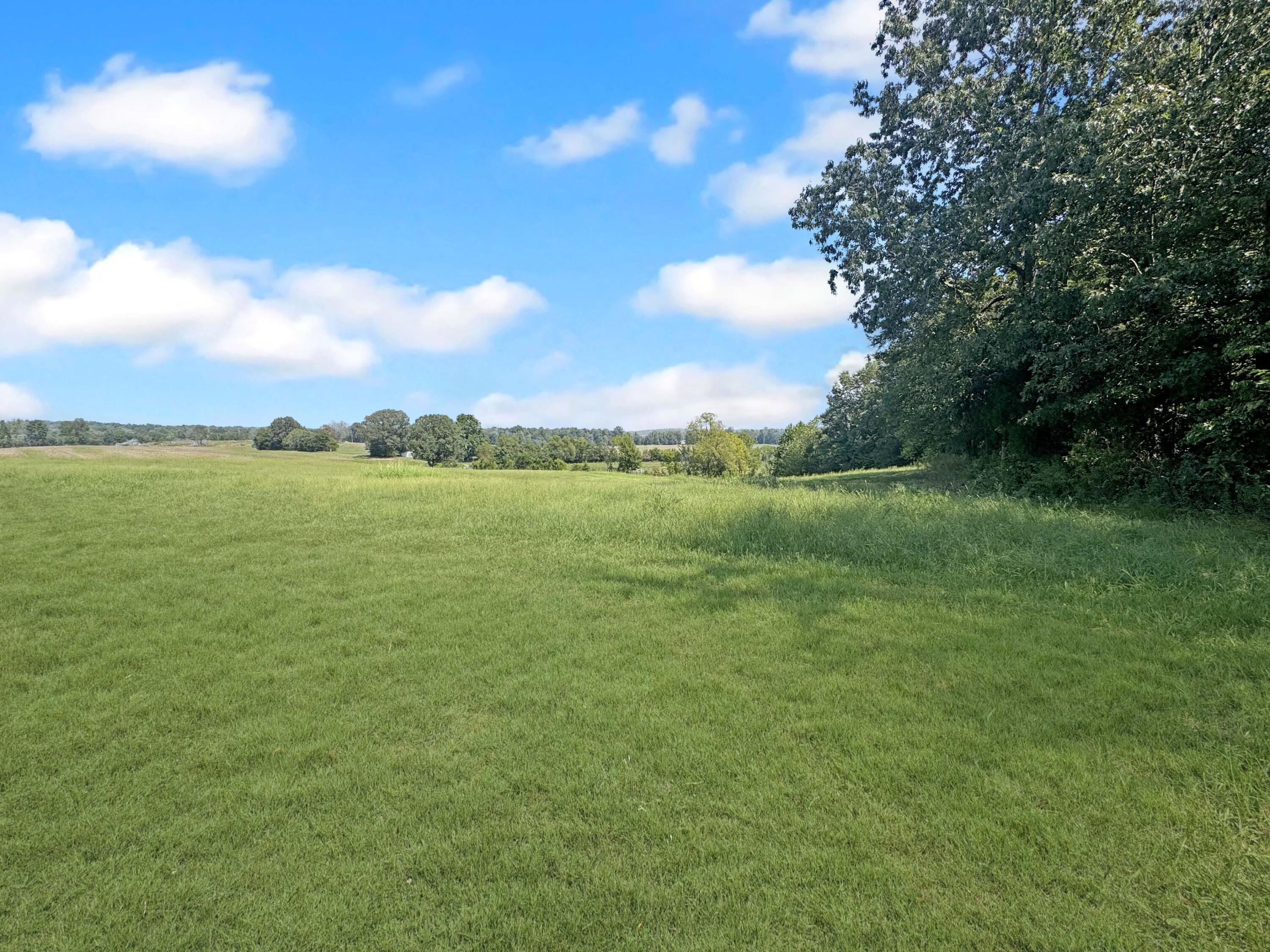0 Boitnott Ford Road Princeton, KY 42445 - Photo 5 of 12 IMG_4016