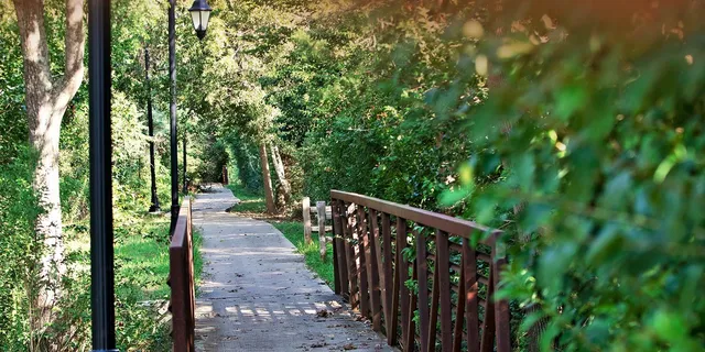 $75,000 | 207 South Oak Street, Morgan's Point, TX 77571