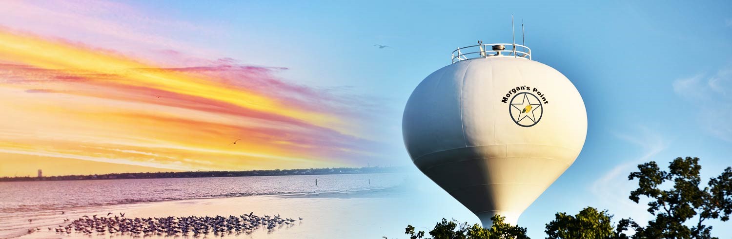 207 South Oak Street Morgan's Point, TX 77571 - Photo 5 of 11 Morgan's Point Water Tower