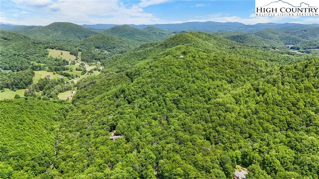 a view of a lush green field with a mountain in the background