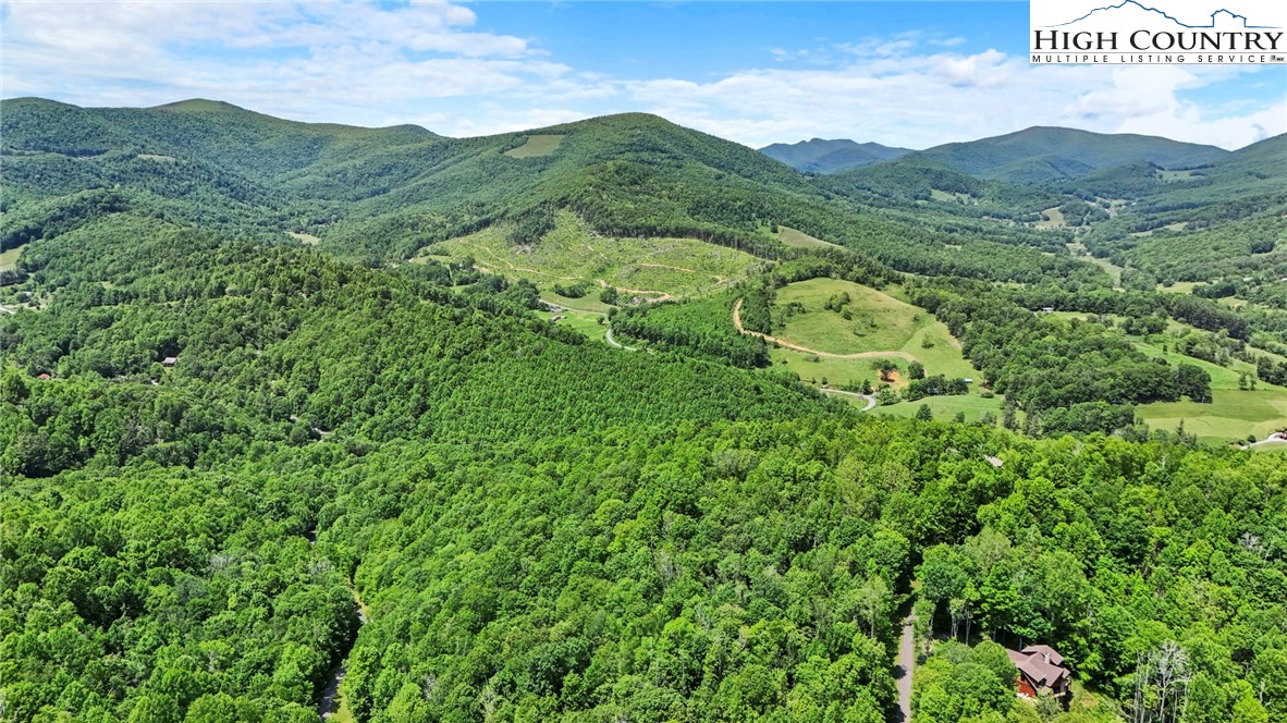 T-2 Grace Mountain Road Todd, NC 28684 - Photo 16 of 28 a view of a lush green forest with mountains in the background