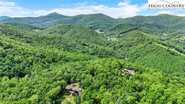 a view of a lush green forest with mountains in the background