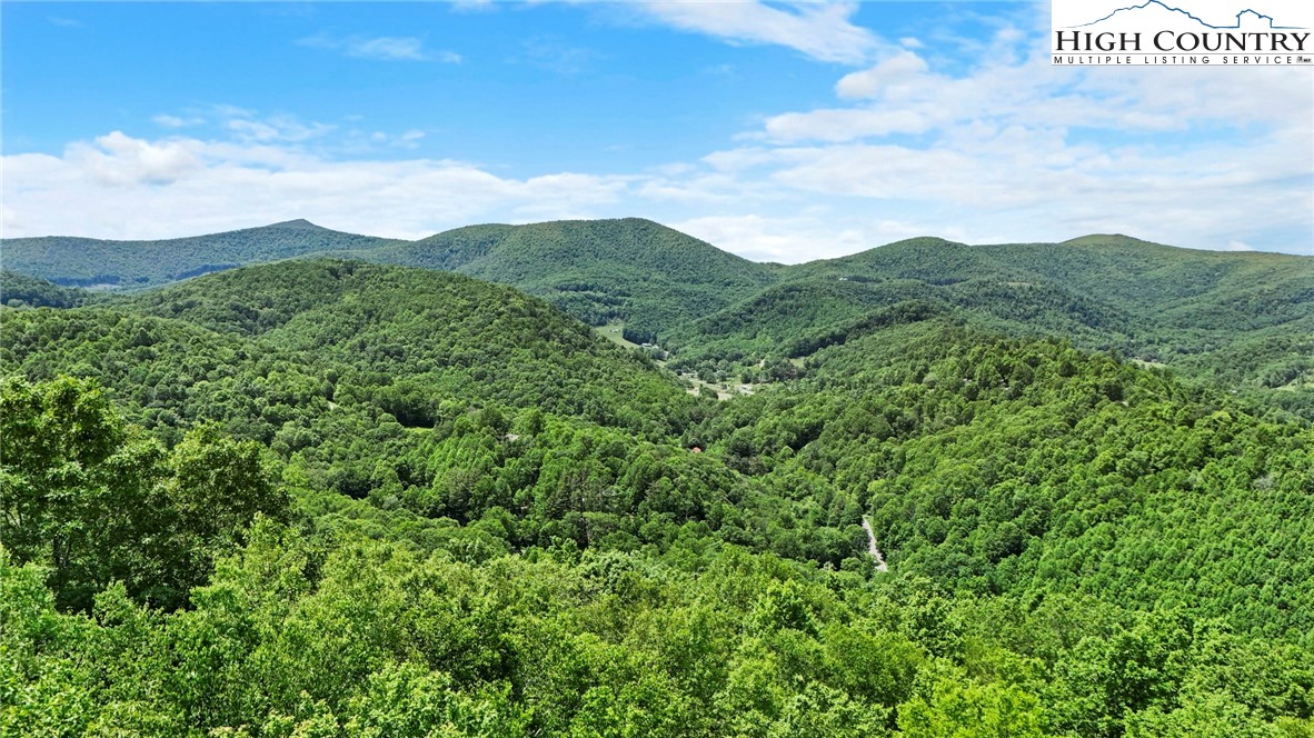 T-2 Grace Mountain Road Todd, NC 28684 - Photo 27 of 28 a view of a city with lush green forest