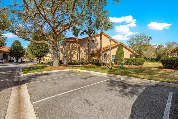 a view of yard with swimming pool and tall trees