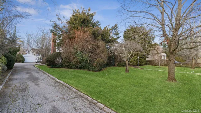 a view of a park with large trees