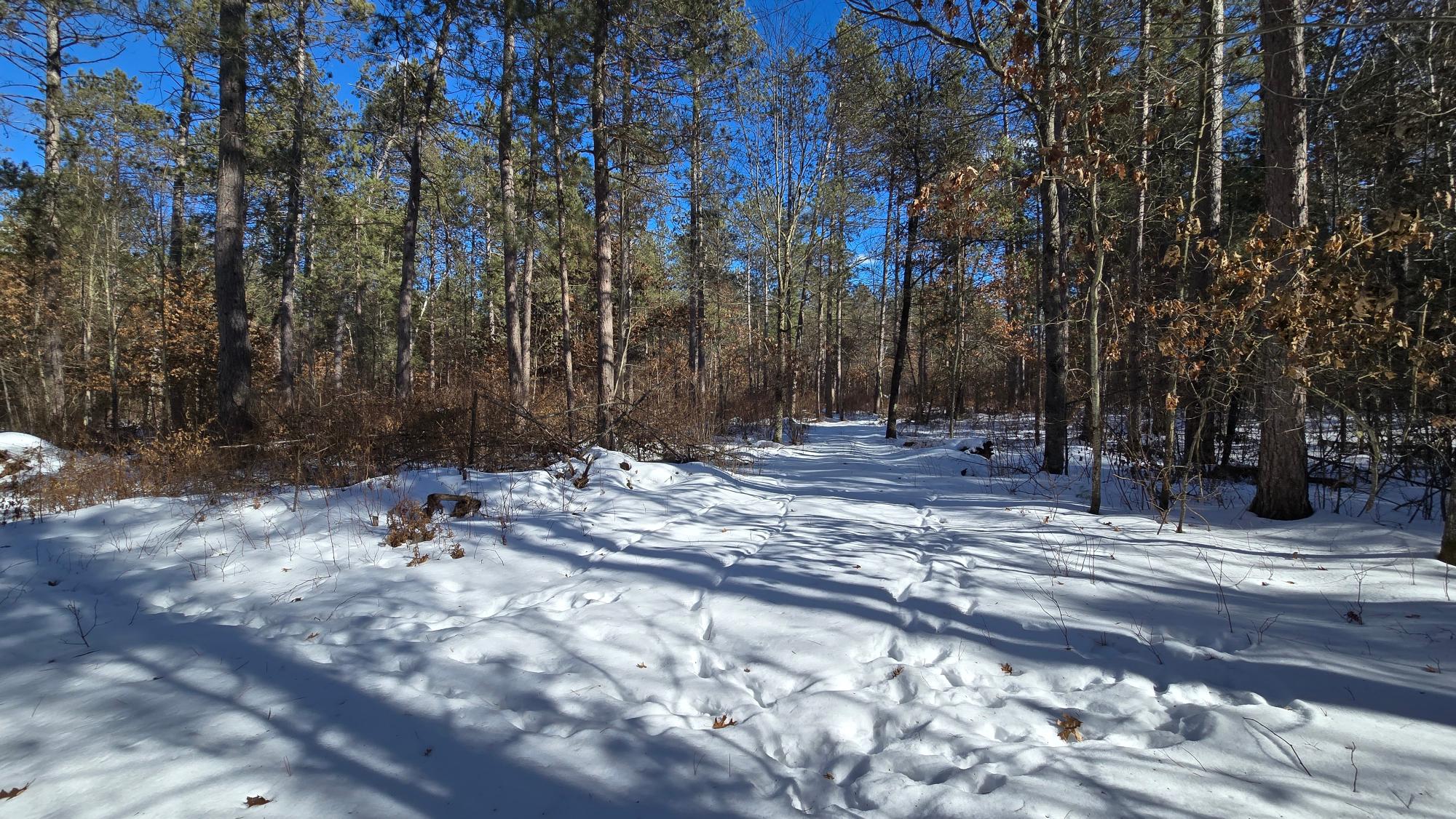 Off Clear Lake Road, Unit 40 ACRES Pearson, WI 54462 - Photo 22 of 29 Gallery Image 22